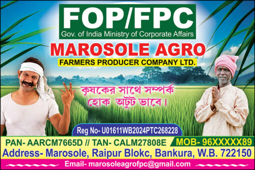 Fertilizer Seed Beej Bhandar Kitnashak Pesticide Firm Shop Banner Design PSD 6x4 ft