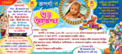New Annaprasan Card-02 _ (9x4)_ 2025