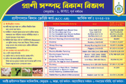 প্রাণীপালনে কিষান ক্রেডিট কার্ড (KCC-AH) Animal Resources Development Department Banner Design PSD 6x4 ft_1915 - PMC