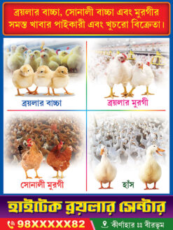 Meat Chicken Egg Motton Firm Shop Banner Design PSD 3x4 ft_2094 - PMC