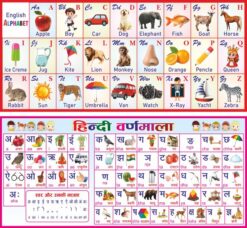 Hindi Varnamala and English Alphabet Flex Design cdr file