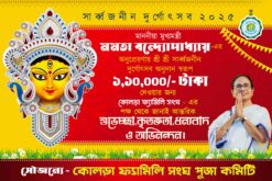Durga Puja Donate Anudan Baner Design No.25 size H4 × W6-sonju-design/sonju-design