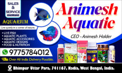AQUARIUM fish shop banner poster design PSD 5x3 ft - NIPON