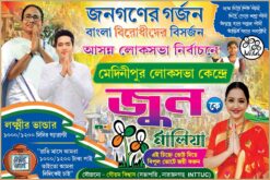 TMC June Malia Election Vote Political Banner Design PSD 6x4 ft_1074 - PMC